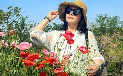 济南时报在线阅读